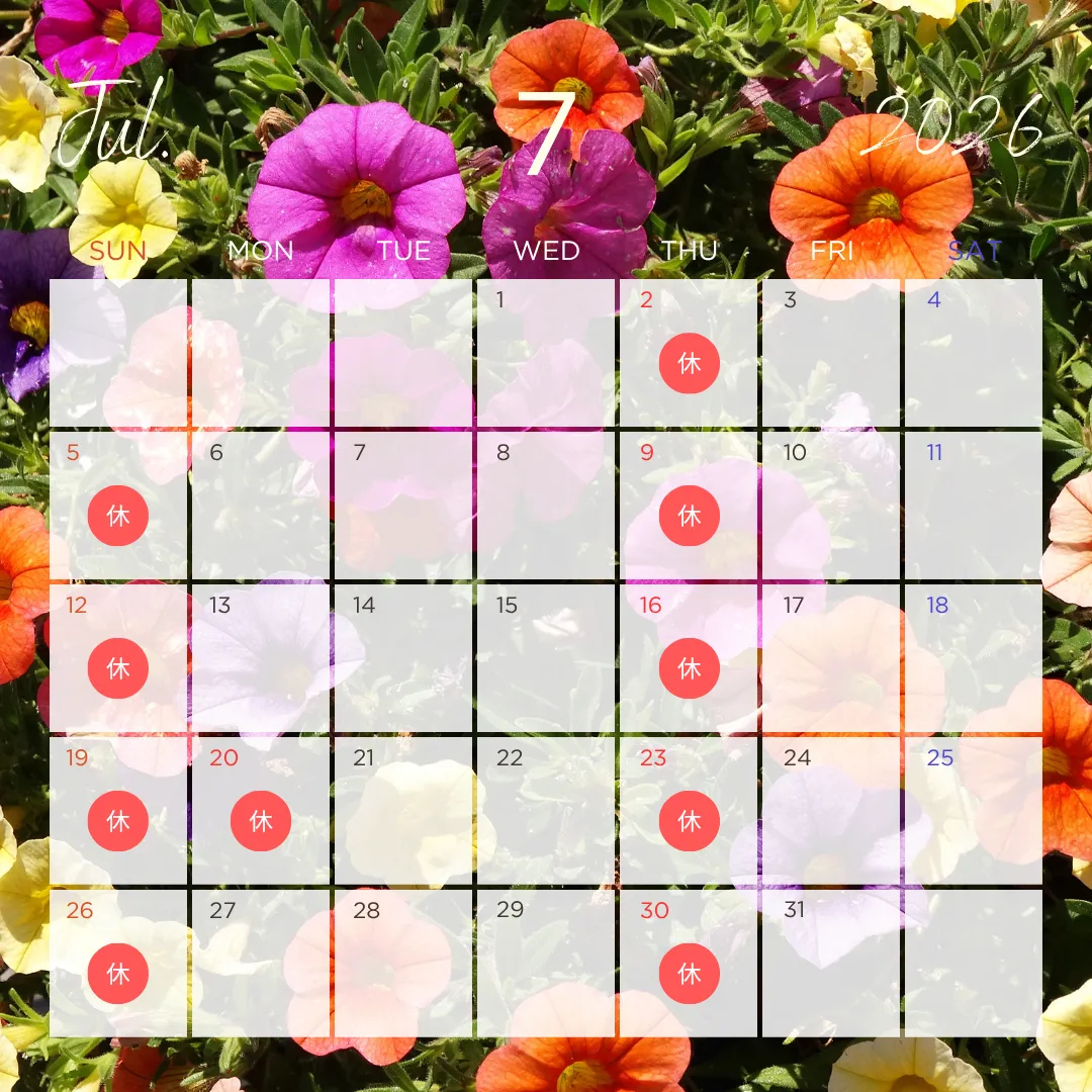 7月休診日のお知らせ🌻